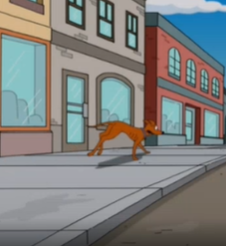 eres un perro adulto, empieza a actuar como uno.