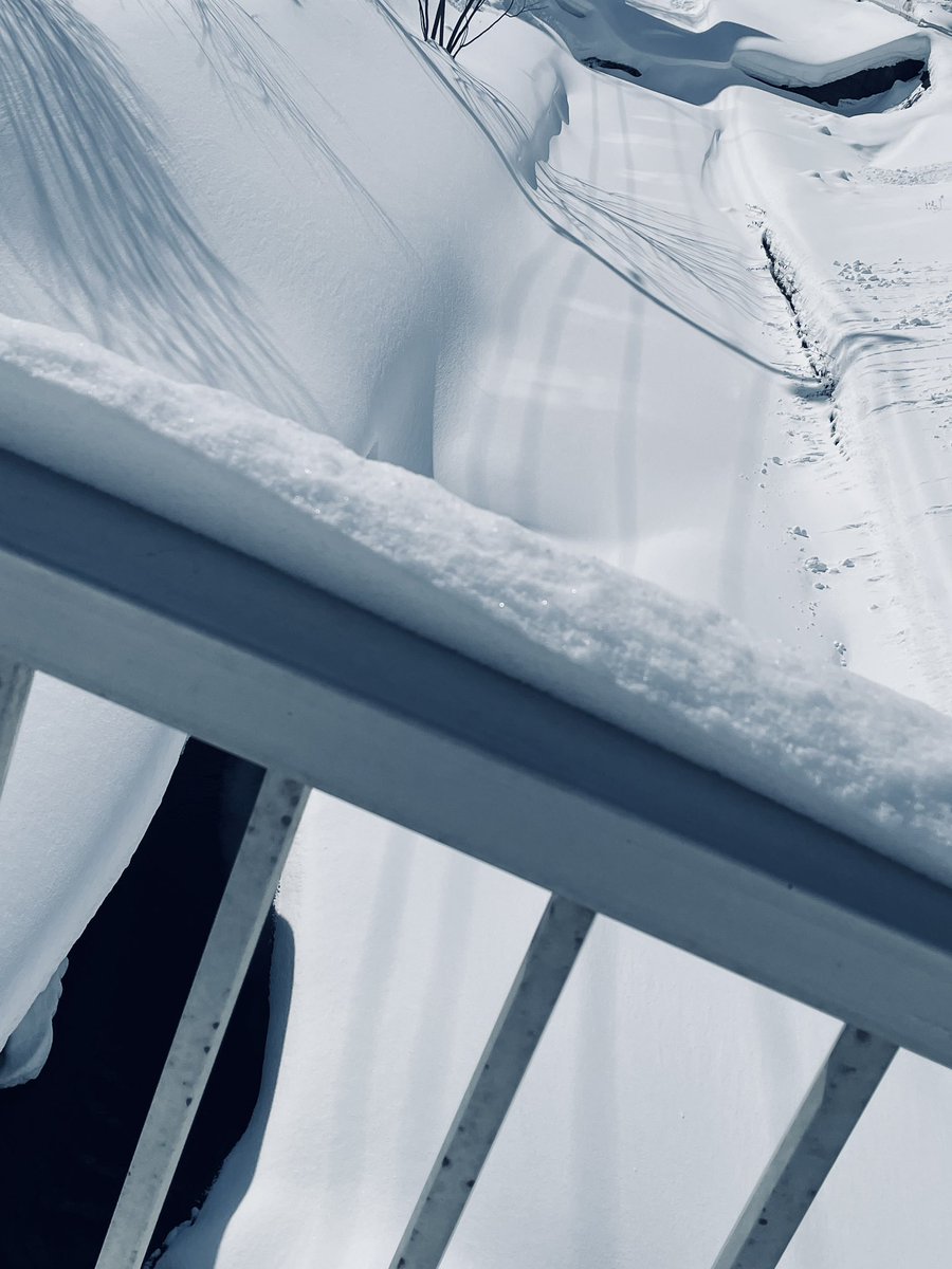 沢山降り積もった雪 川の上にも❄️ でもお日様には ちょっと春を感じ