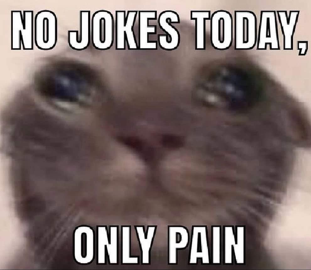 PunchingCat's tweet photo. https://t.co/bFFkMiKfcu