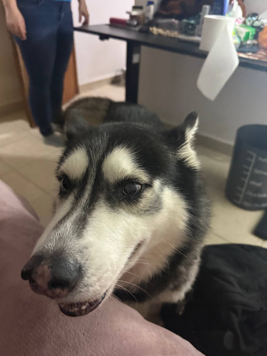 Rowdy @ texas tweet media