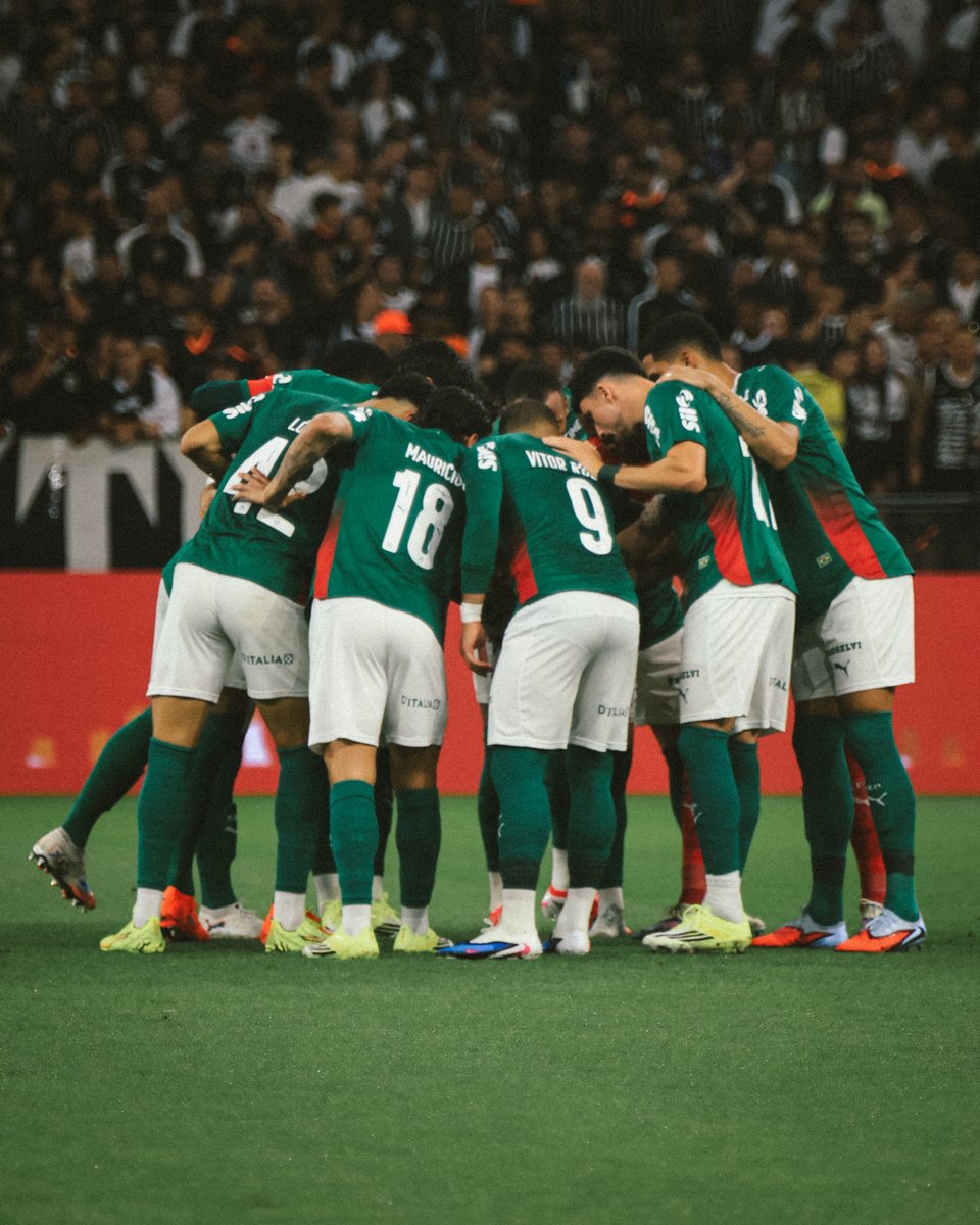 Tudo voltou ao normal na capital paulista. Boa noite, #FamíliaPalmeiras! 🤙😎