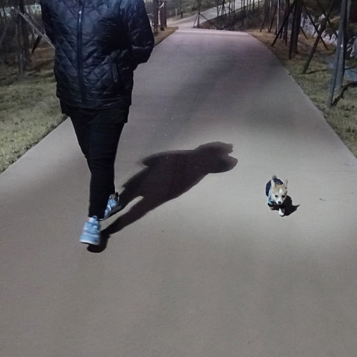 이런 가나디가 
챱챱챱챱..챱챱챱챱.. 걷고잇엇슴