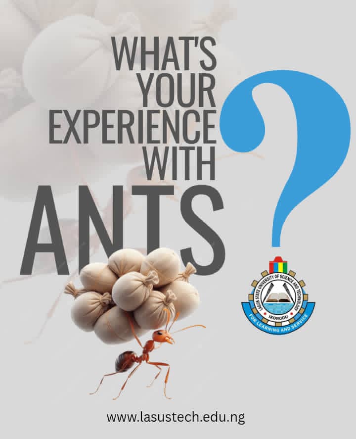 LASUSTECH Official tweet media