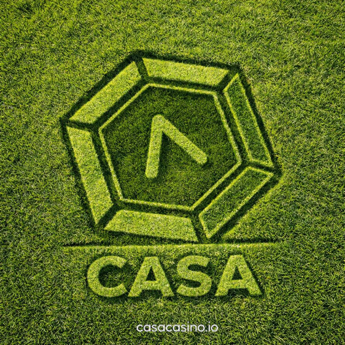 CASA Casino tweet media