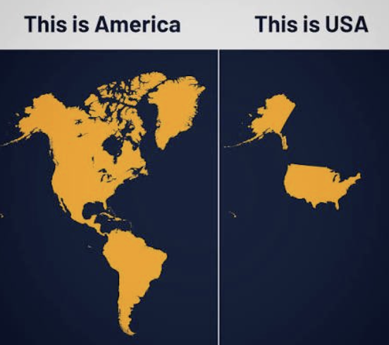 acnewsitics's tweet image. For the dumb MAGAs who don't know the difference.