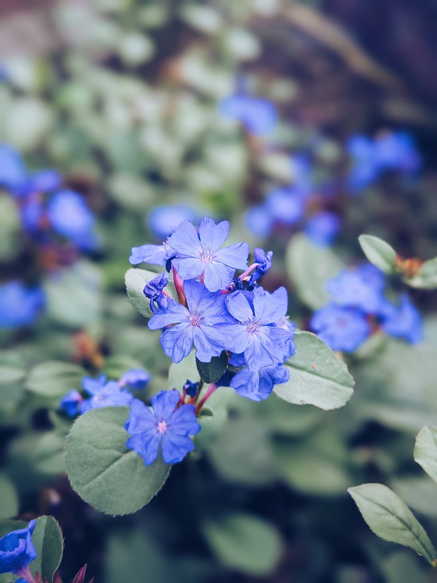 Anna Madden tweet media