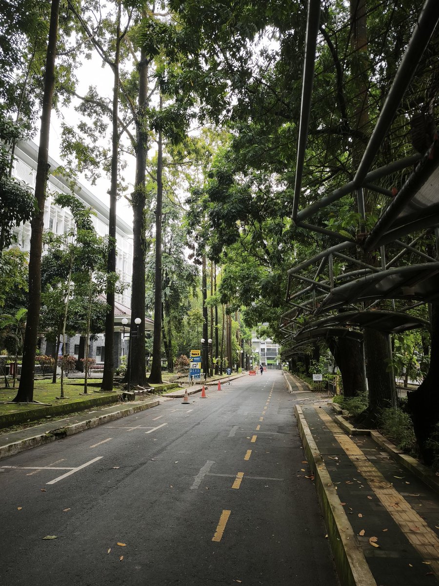 Addvoycat's tweet photo. pov: keterima di ugm https://t.co/2JVOF8XEda
