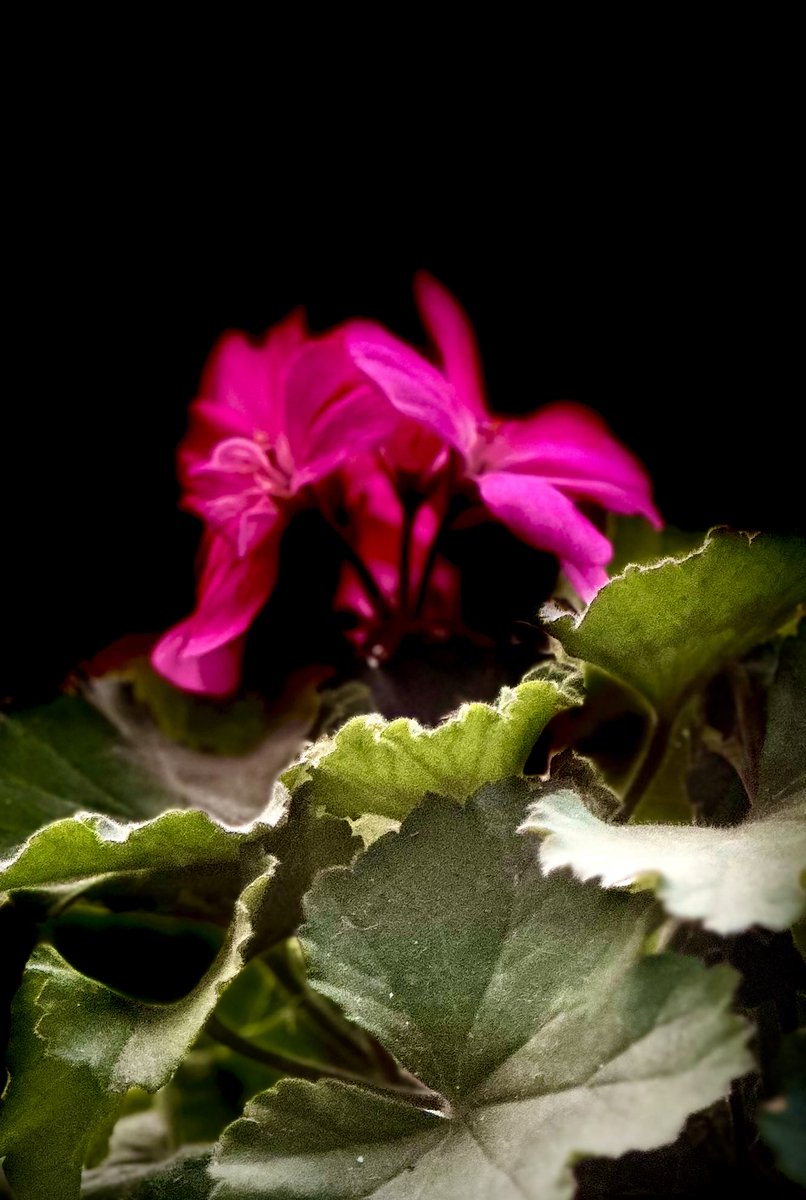 educationtr's tweet photo. #February9th🌍 https://t.co/kjE9qqkdvh