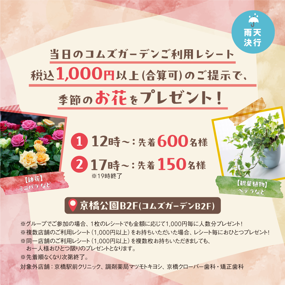 コムズガーデン【公式】 tweet media