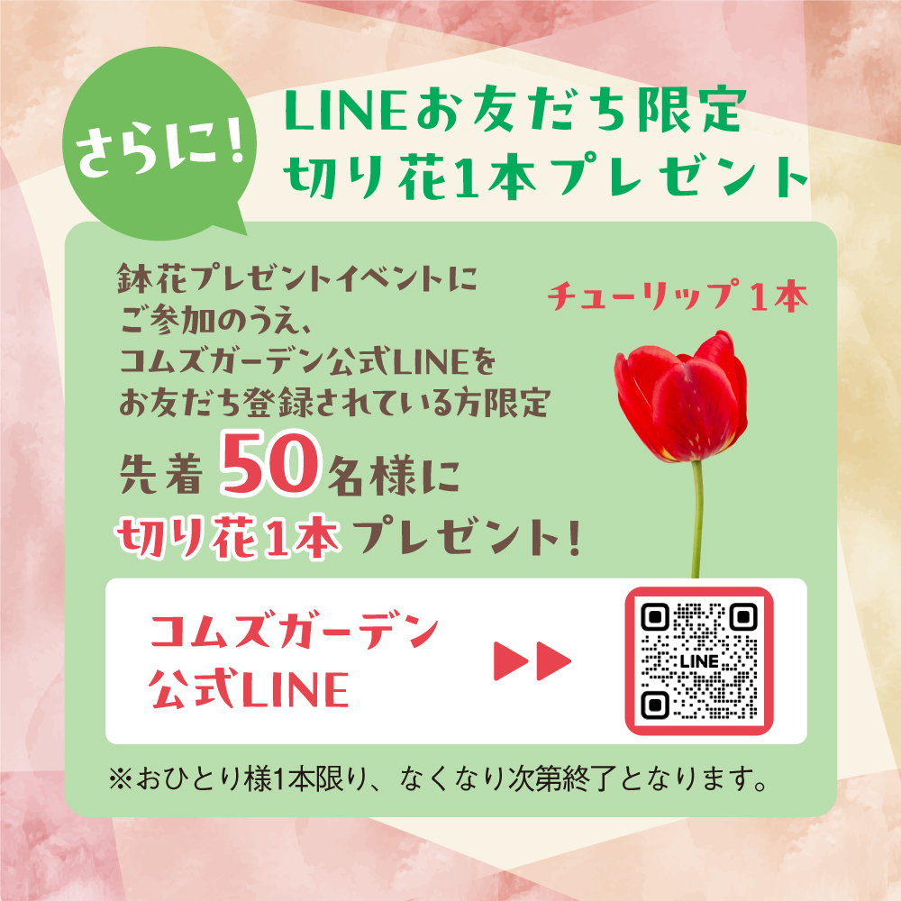 コムズガーデン【公式】 tweet media