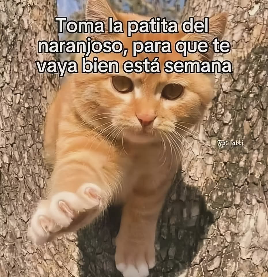 En Júpiter tweet media