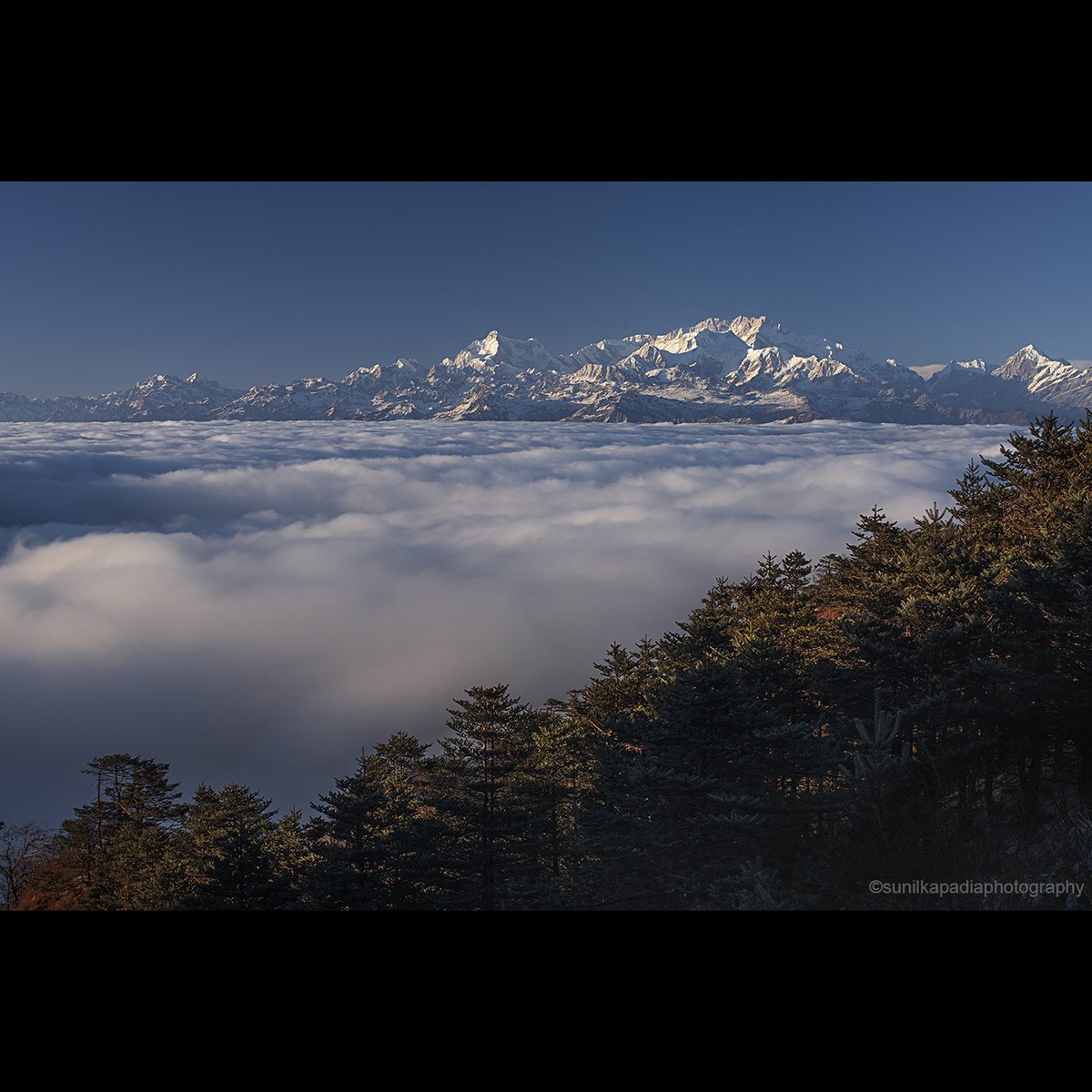 SunilKapadia19's tweet image. _SSK2625 The Floating Beauty. c
Buy This Photo Art Print 
#floating #beauty #color #colorphotography #snow #Himalayas #range #Kanchenjunga #clouds #forest #trees #landscape #landscapephotography #colorlandscape #colorlandscapephotography #Sandakphu #Darjeeling #WestBengal #India