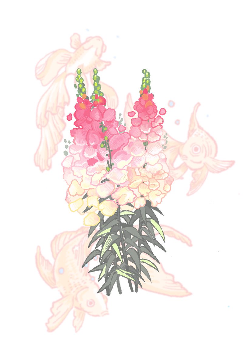 キンギョソウ🫧