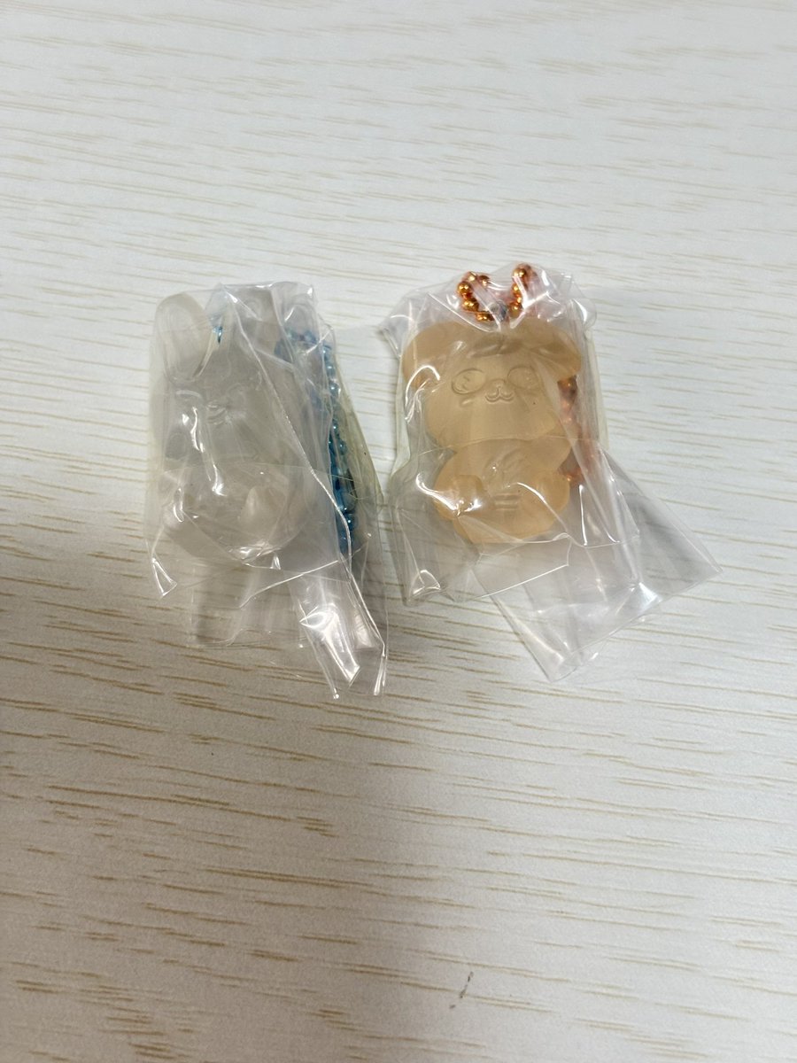 ひいらぎ tweet media