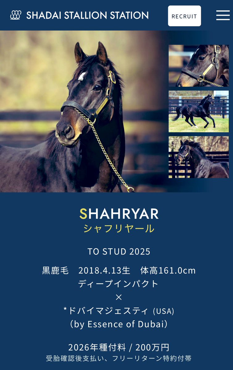 たまこ (@egg24k) / Posts / X