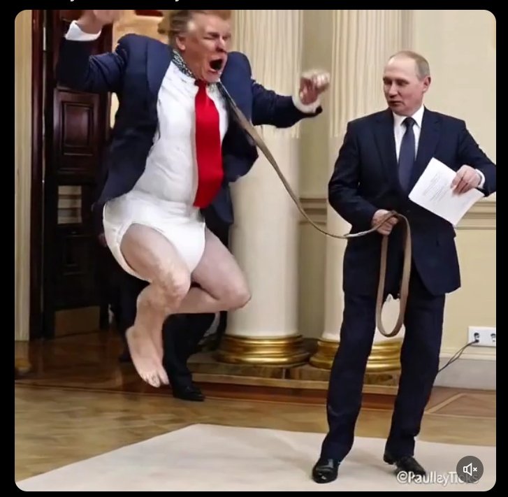 MrSpiritsRaven's tweet photo. #BadBunny
#SuperBowlLX
#HalfTimeShow
Three Words For #PedophilePOTUSTrump
👇🏿👇🏿👇🏿👇🏿👇🏿👇🏿👇🏿👇🏿🌴
#DonaldJTrump IS A
👉🏿 #34CountConvictedFelon #Pedophile #Rapist
#SexualPredator #Perverted #ChildMolester #SexTrafficker #Racist #TaxCheating #Grifting #Lying #Zionist #Fascist #Nazi #GenocideEnabler #IncestDesiring
#LowLifePileOf💩 👈🏿
