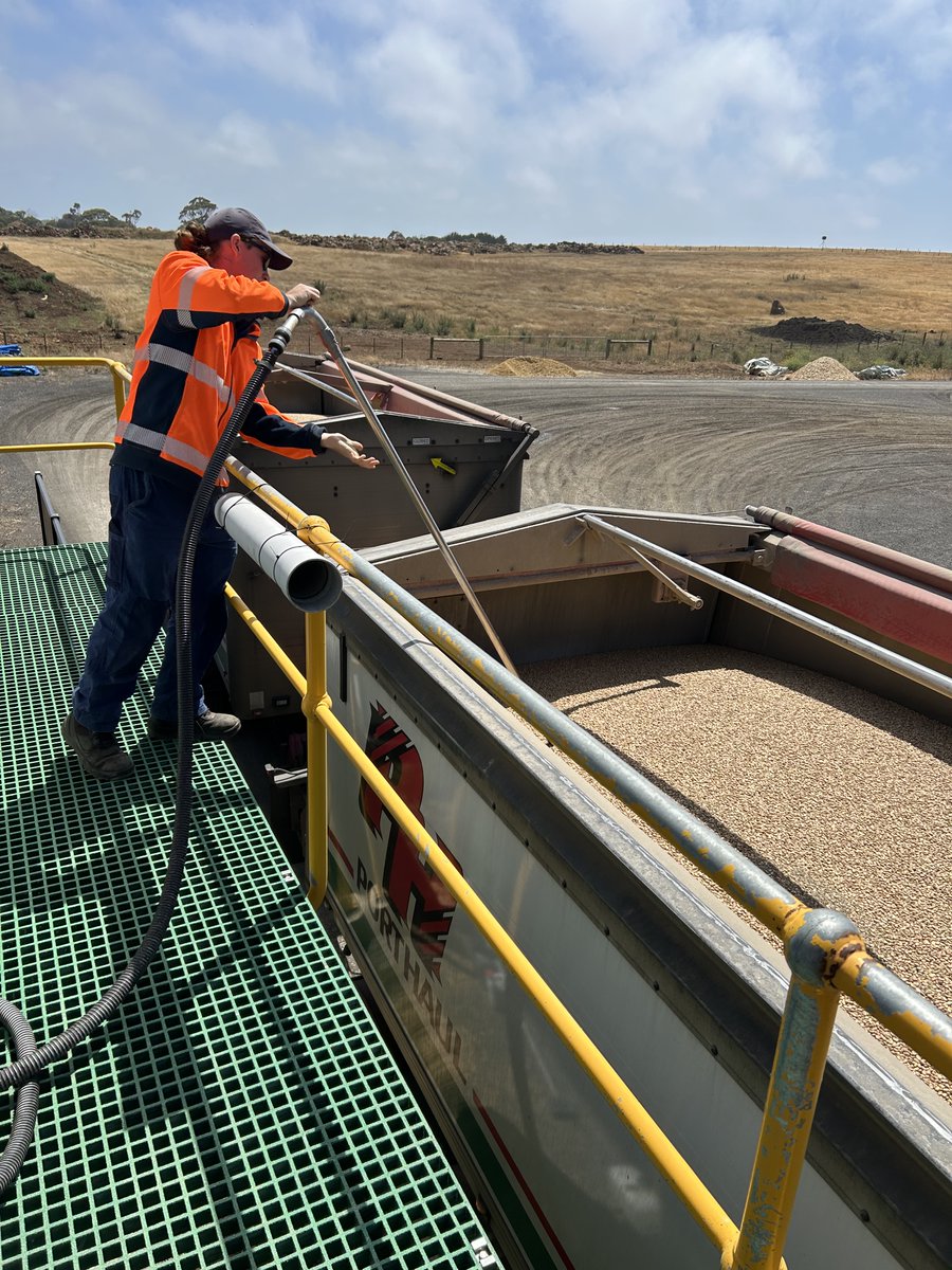 ADMaustralia's tweet photo. Beans in, beans out! 

A quick turnaround into and out of ADM's Portland export shed for a Feb bulky - via the Port of Portland. https://t.co/xQS4vc0eUK