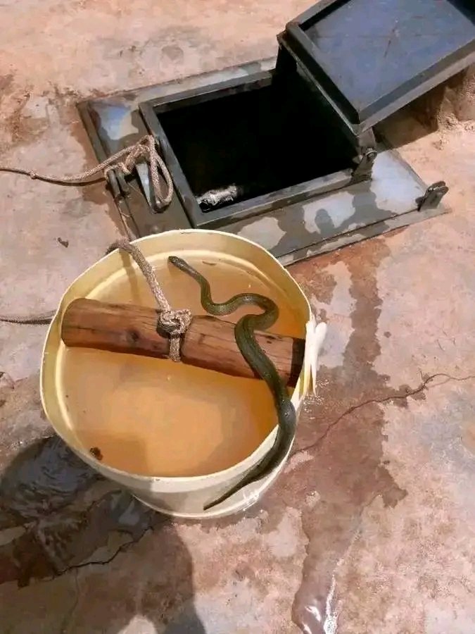 ~•𝐊𝐔 𝐂𝐎𝐌𝐑𝐀𝐃𝐄•~ tweet media