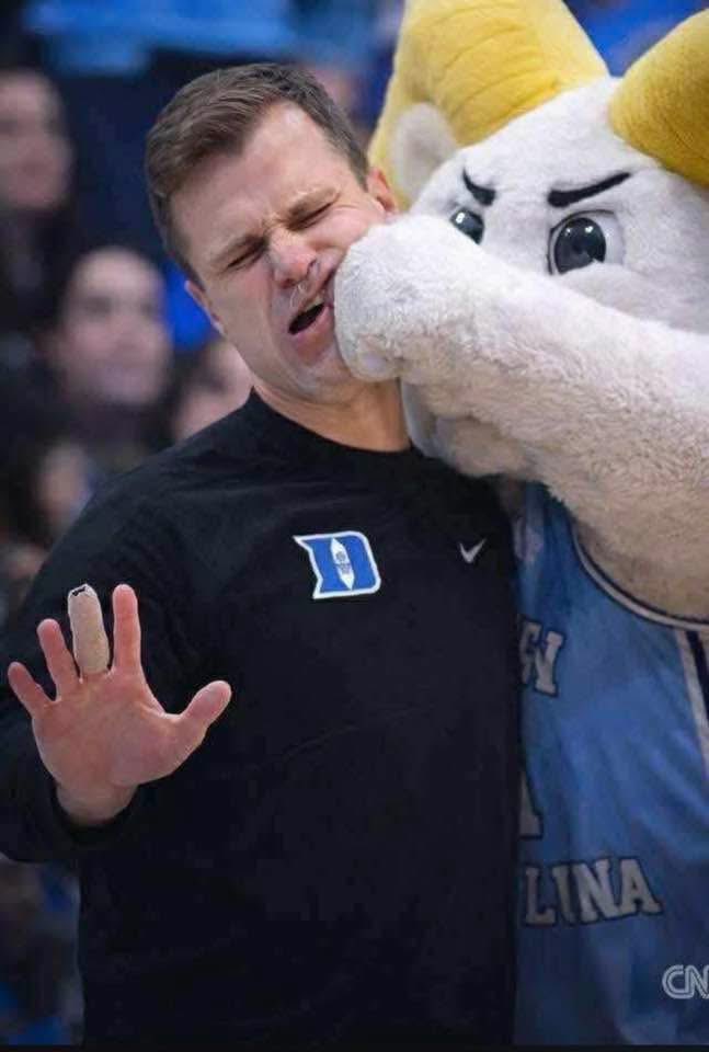 Blue Heaven tweet media