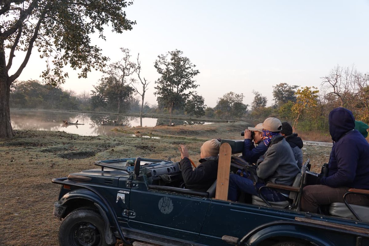 Wildlife Institute of India tweet media