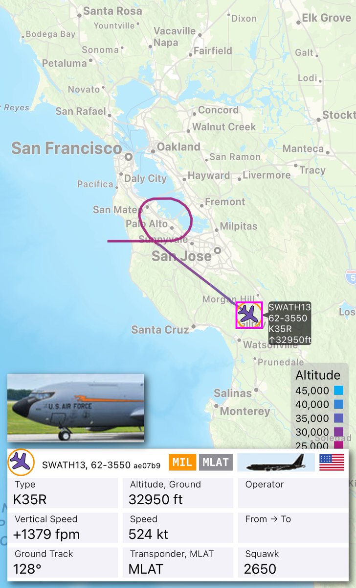 8-1 Echo tweet media