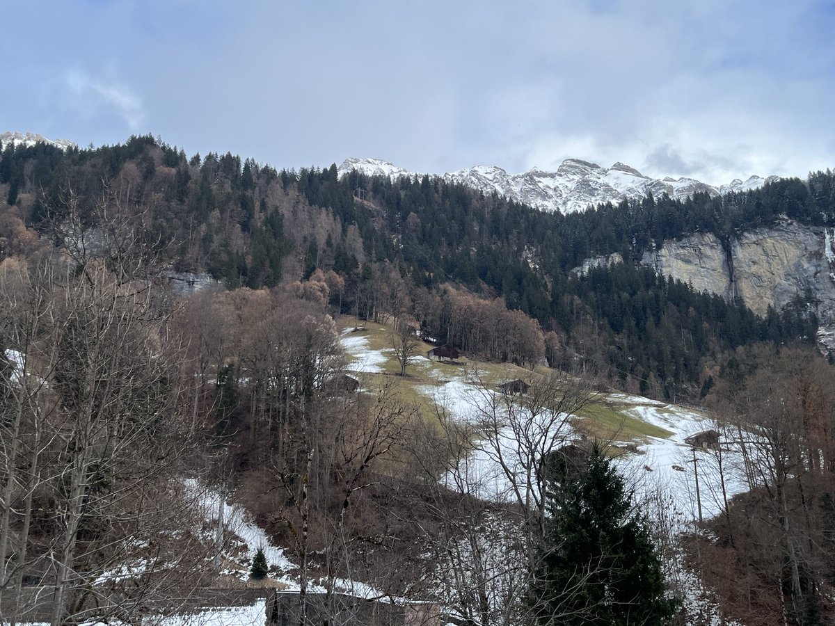 _P3NNYL4NE's tweet photo. reviving this acc w/ a tb of The Alps 🥹 https://t.co/bVlBX5O4Jr