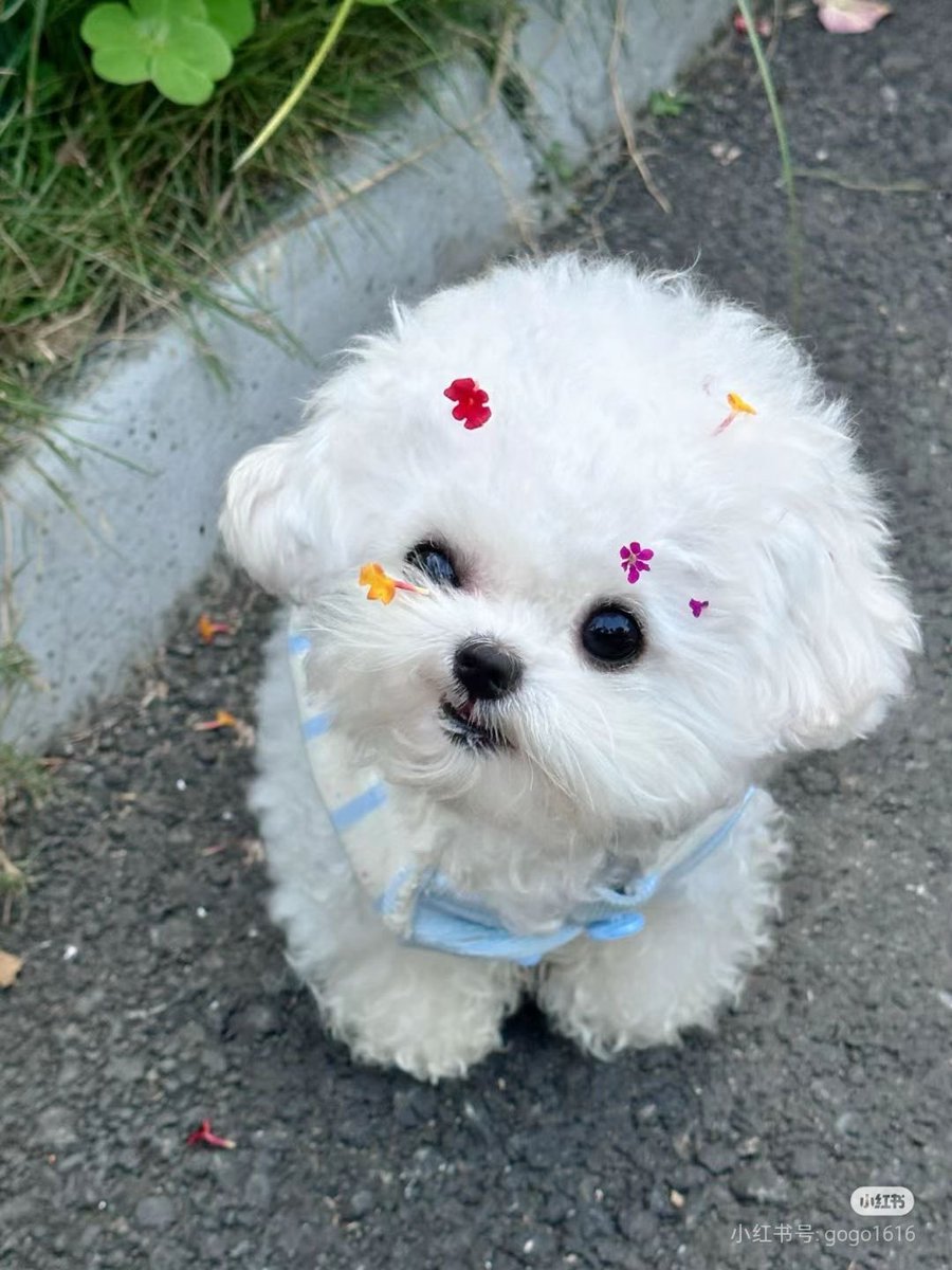 twaniimals's tweet photo. https://t.co/QpnsZRWuHN