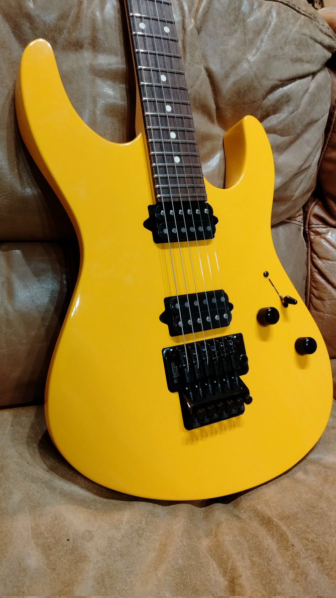 ヤフオクにて8000円で落札したジャンクギターを改造しまくったら