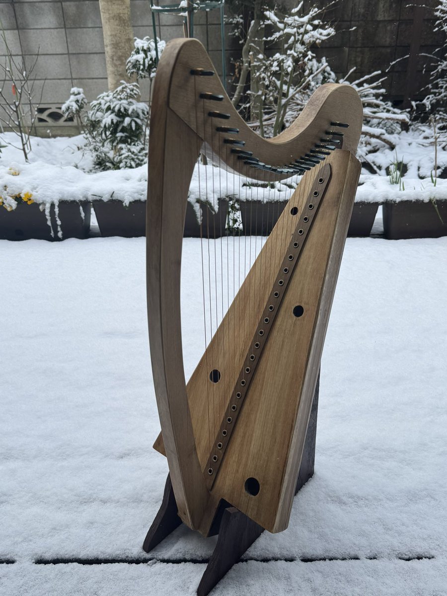 国産ヒノキ製金属弦ハープ完成！24弦、1735g。通算362台目。ヴィオラの
