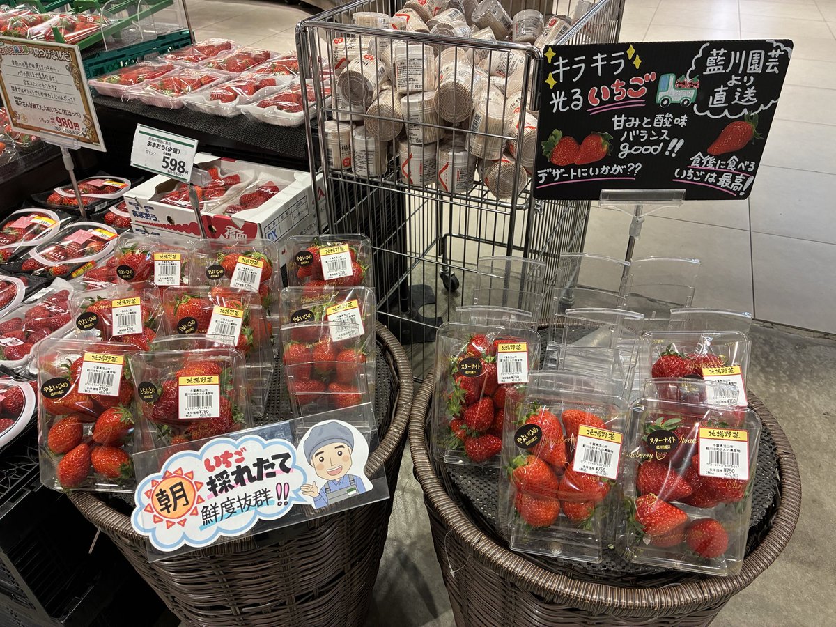 226summit's tweet photo. 青果側入口にはいちごが沢山並んでいます🎶
前を通るといちごの香りが😍

流山市の
#藍川園芸　さん
直送のいちご🍓も‼️
#やよいひめ
#紅ほっぺ
#スターナイト

真っ赤でキラキラ🤩
こちらは数量限定なのでお見逃しなく👍

#サミット
#テラスモール松戸 https://t.co/aiNPZkUwQZ