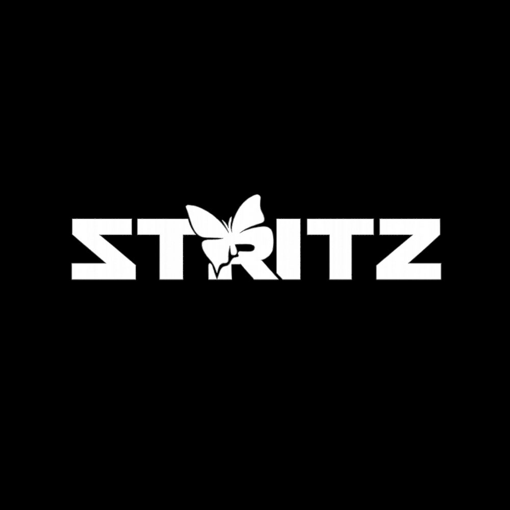STRITZ tweet media