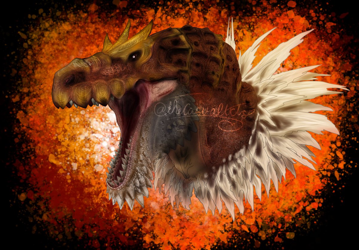 Bull.Falcon (@FalconBull) / Posts / X