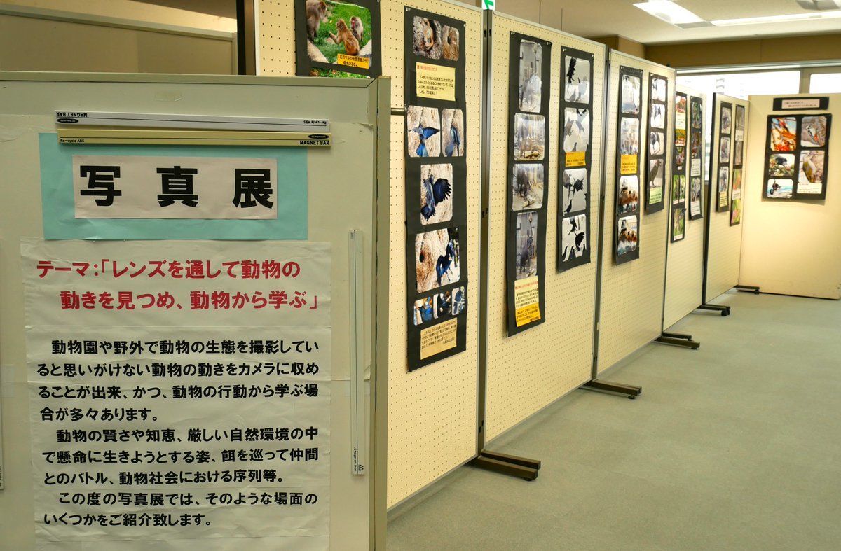 まなびの広場📷写真展📷開催中　「レンズを通して動物の動きを見つめ、動物から学ぶ」思いがけない瞬間に出会える、動物たちの生き生きとした姿を集めました。レンズ越しの“学び”をぜひ感じてください。
開催期間： 2月2日〜2月27日