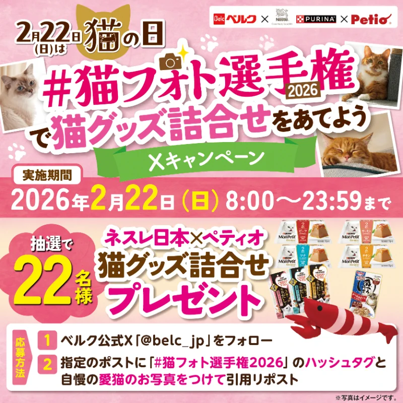 【専用出品】額付きポスター ネコ 3枚セット(新品) ベルク(Belc)🅱️ a X: 