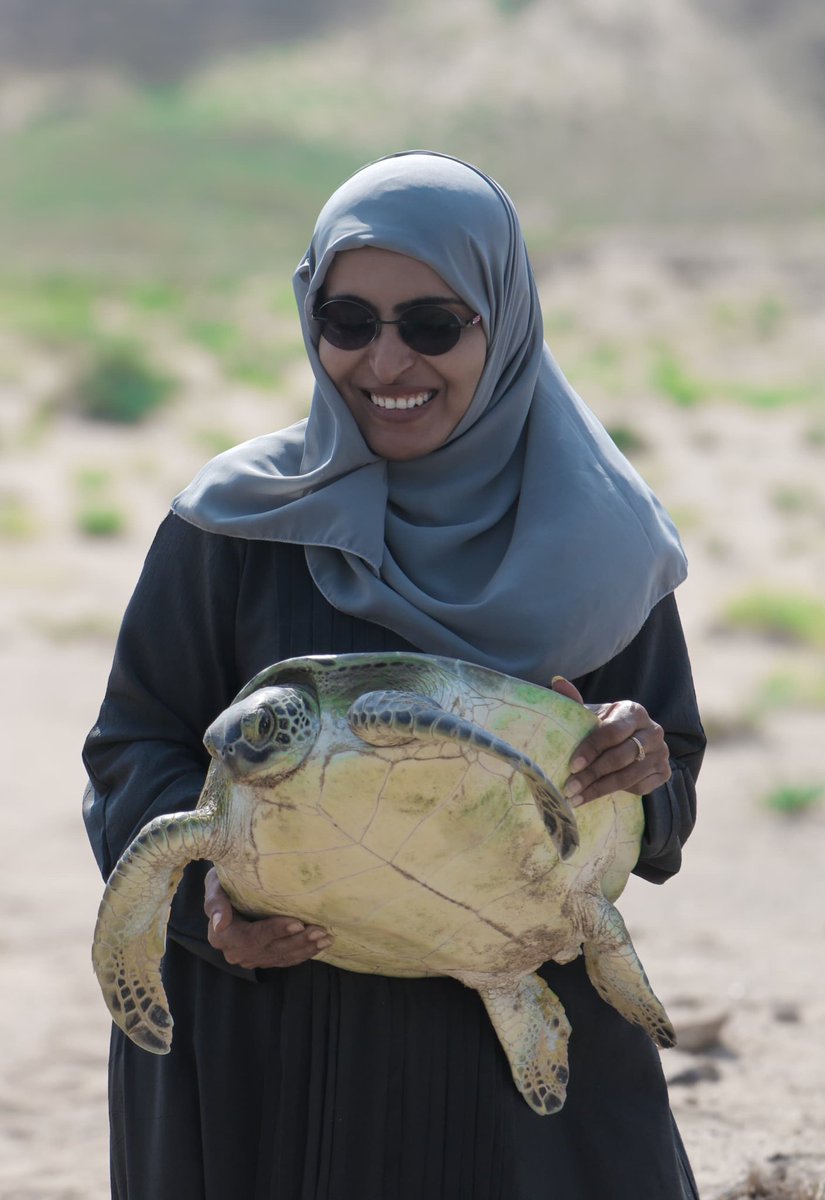 مركز رؤى للدراسات الاستراتيجية والاستشارات tweet media