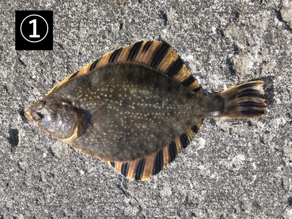 農林水産省 tweet media