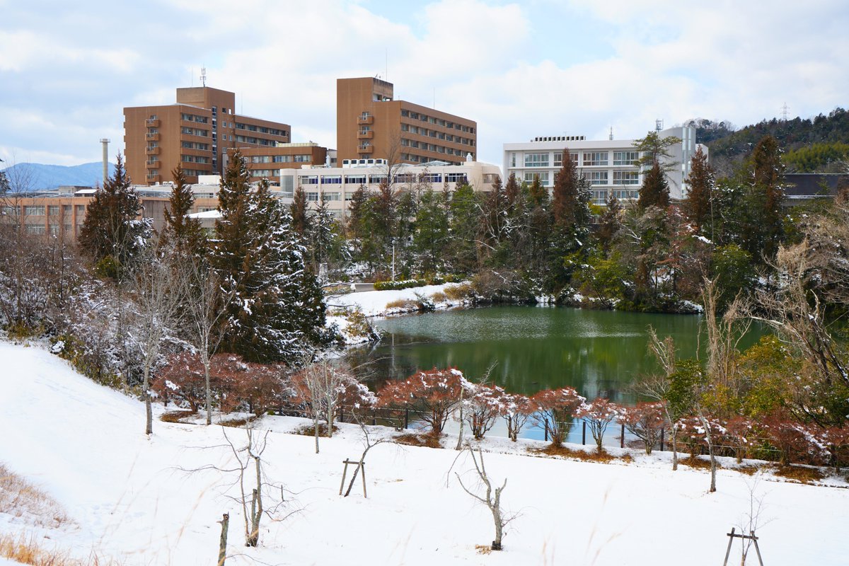 Hiroshima_Univ's tweet photo. 今朝の東広島キャンパスの様子をお届けします��️
ひろティーは雪の中、お散歩しました👣
雪が溶けたところより、溶け残って凍ったところが滑りやすくなっています。どうぞお気をつけください😊 https://t.co/J30Q1tYEIR