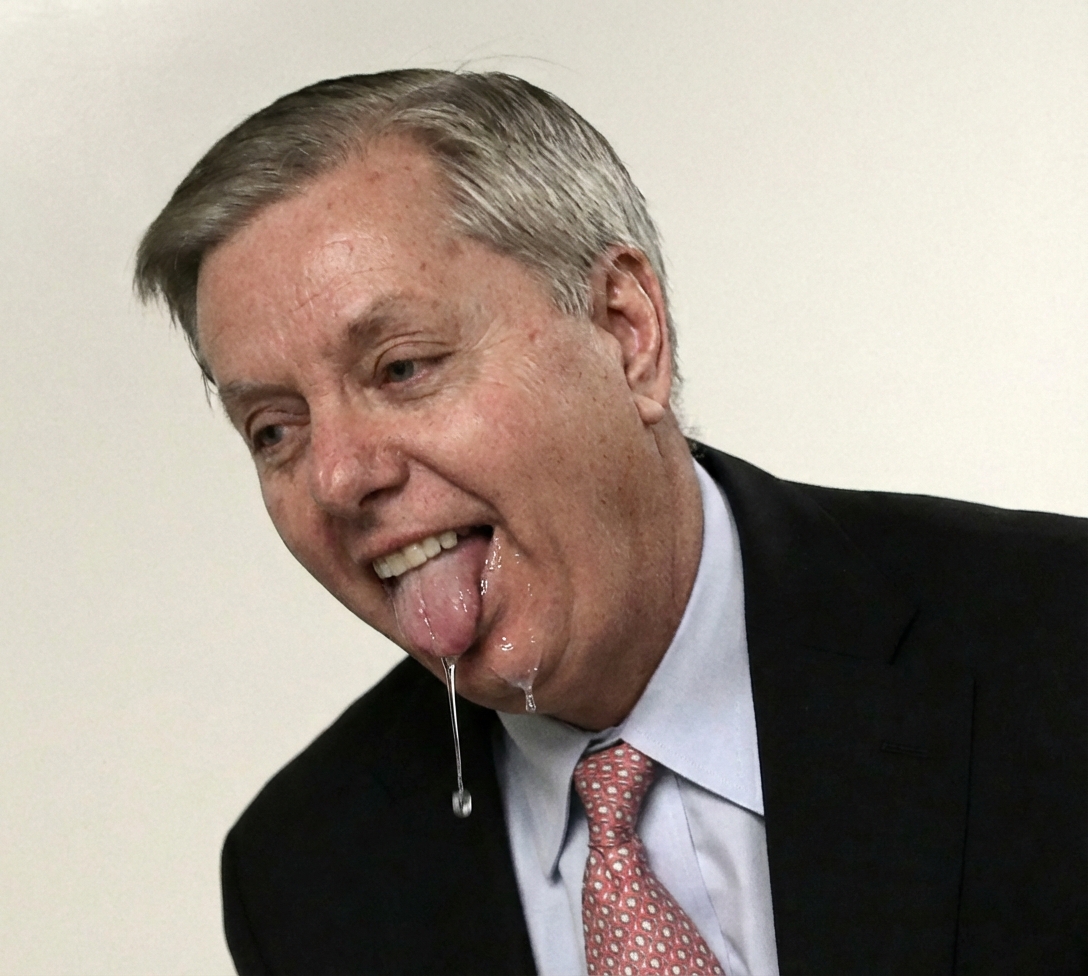 Lindsey Graham when Ricky Martin made a cameo during Bad Bunny's Super Bowl halftime show.