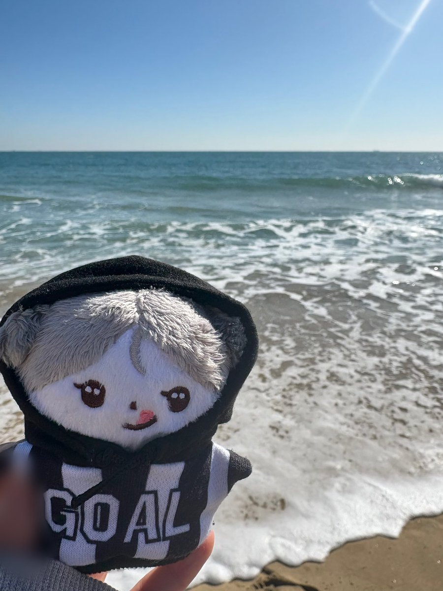 늑대켕에게 바다를 보여줬어요