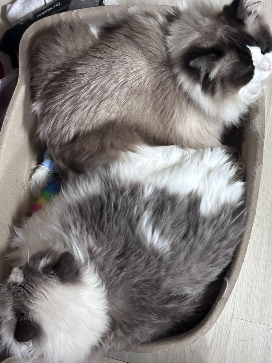 두개가있는데 굳이 거기다들어가니