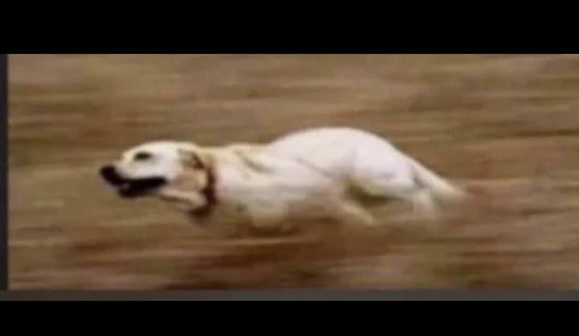 Me running to Engage Elon’s b0ring and dryyy posts because I need impressions 🥲