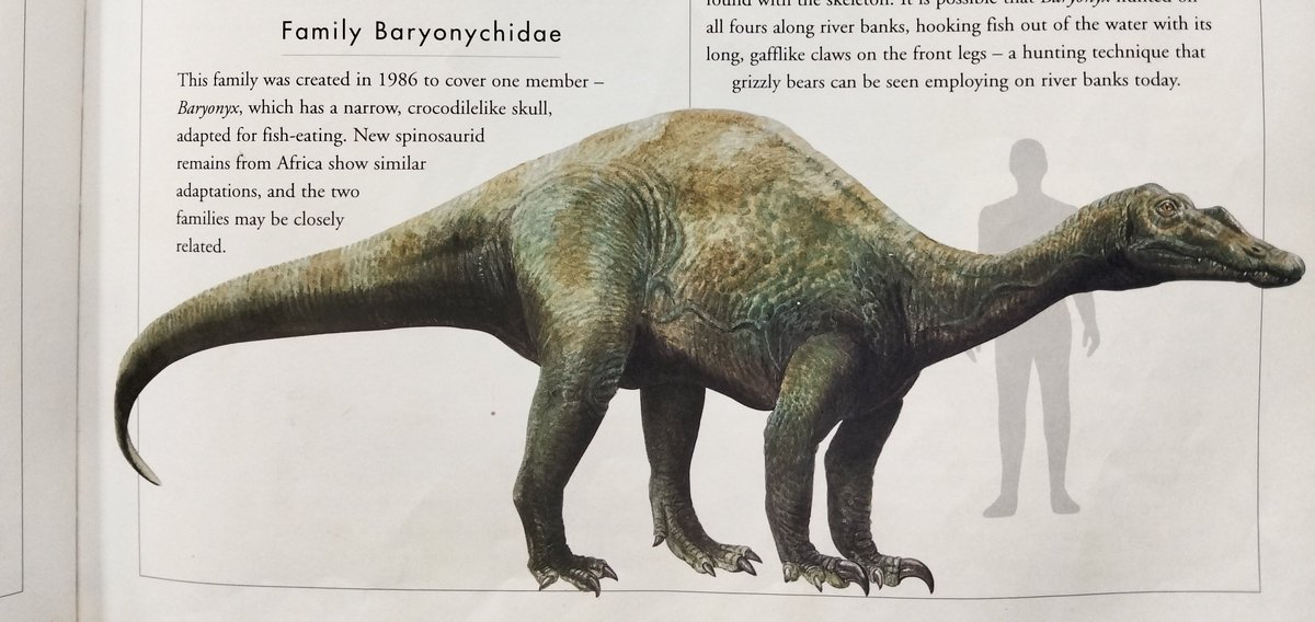 LM🦕🦖 tweet media