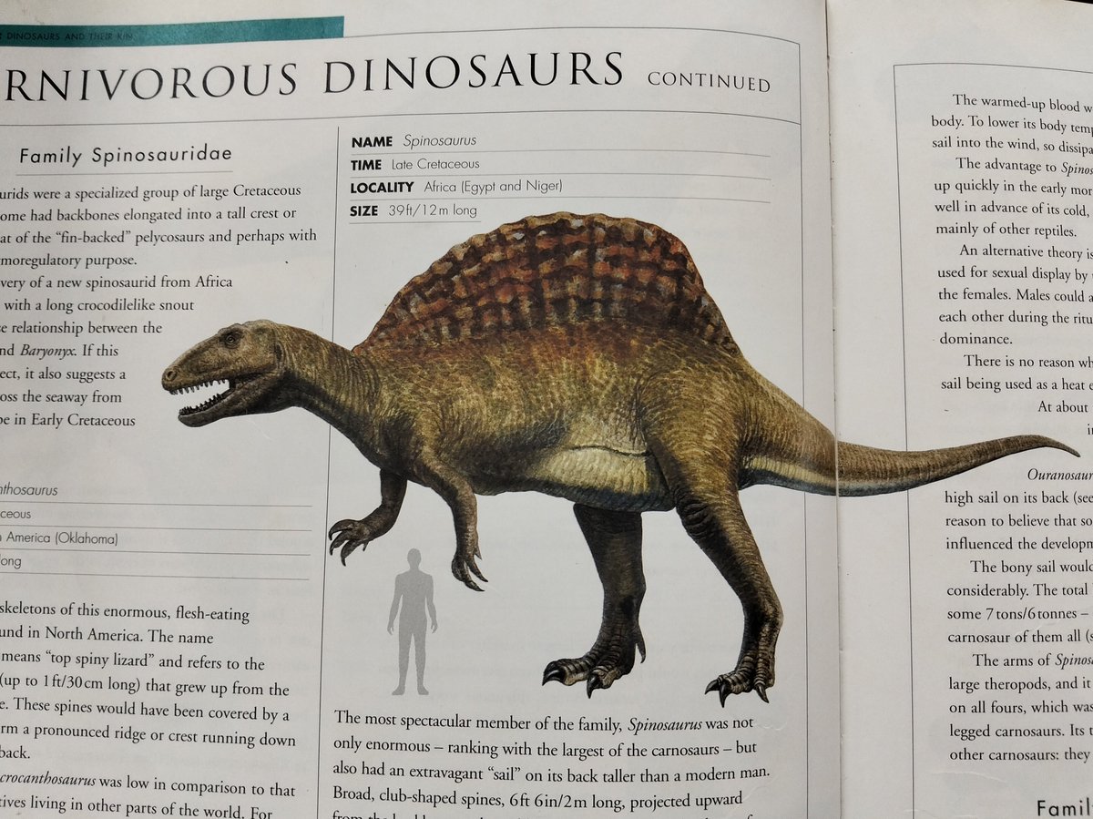 LM🦕🦖 tweet media