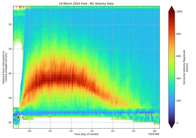 Seds Online tweet media