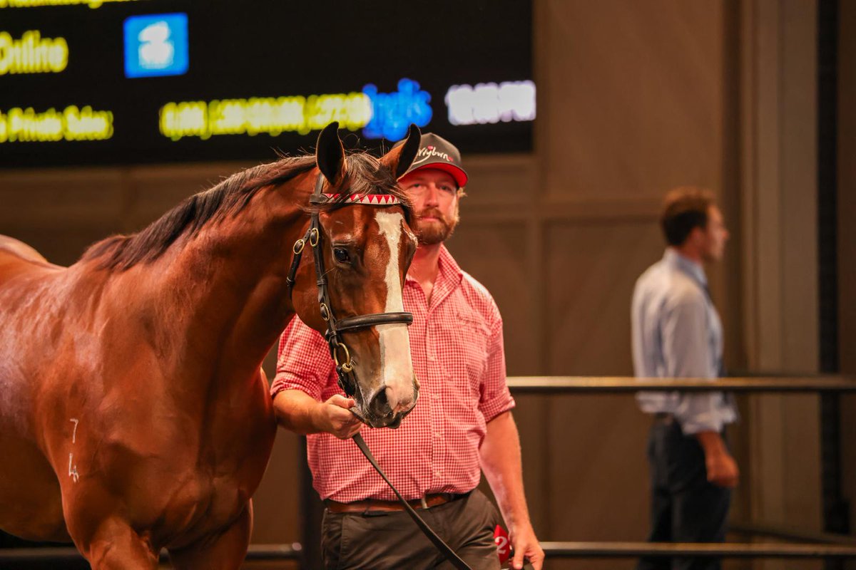 Torryburn Stud tweet media