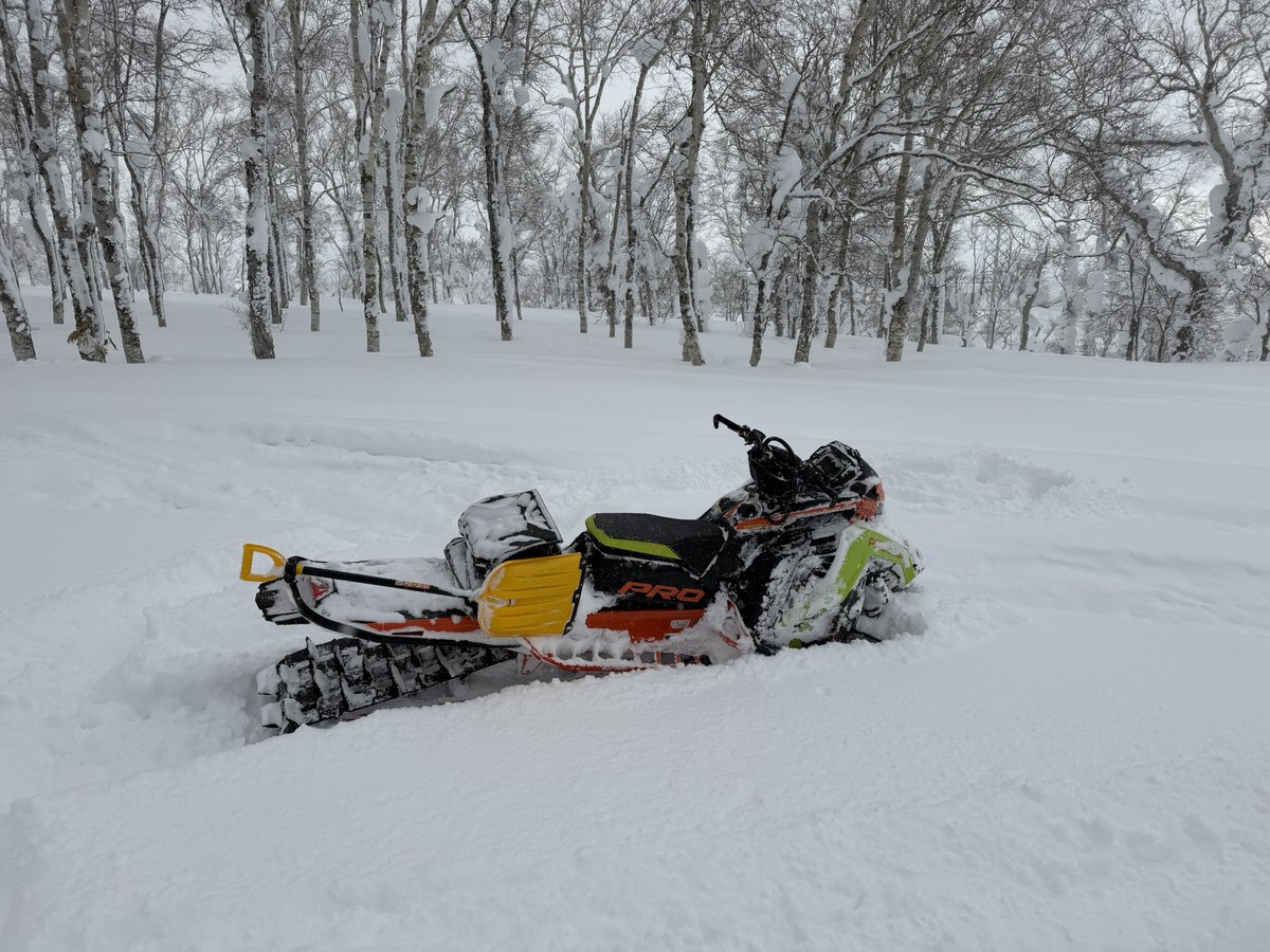 たかゆㄘ tweet media