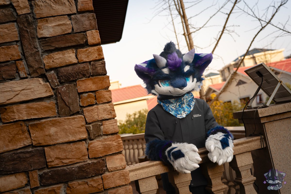 星海StO tweet media