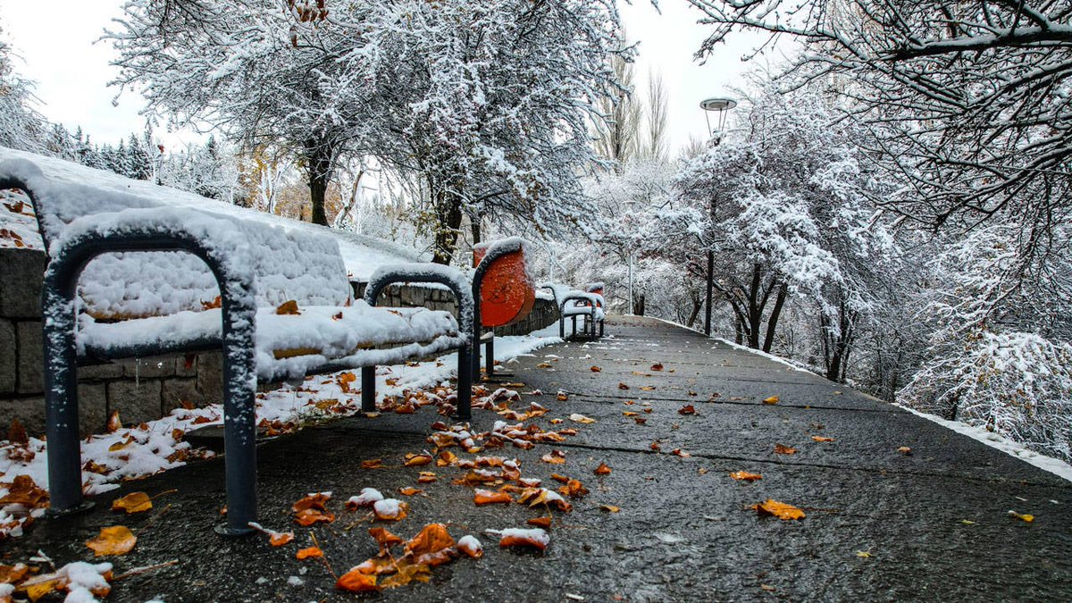 mehmedalidemir's tweet photo. Yanlış yerde elinizden gelenin en iyisini yapsanız bile asla yeterli olmaz. Ama doğru yerde sadece varlığınız bile kutlanır.
Anlaşılmak için kendinizi tüketmediğiniz yere aitsiniz İnsan değer gördüğü yerde güzelleşir anlaşıldığı yerde çiçek açar ışığınızı kıymet bilenler görmeli. https://t.co/ZnhTzVhker