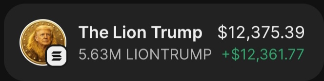 SOLANA TRADER tweet media