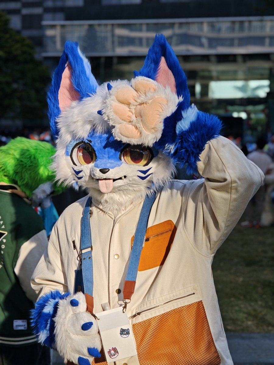 枫汐FengXi tweet media